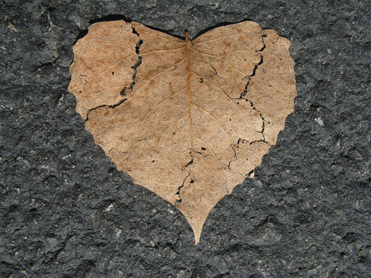 Fractures, Frictions and the Tip of the Spoon:1st Corinthians 1:4-31: