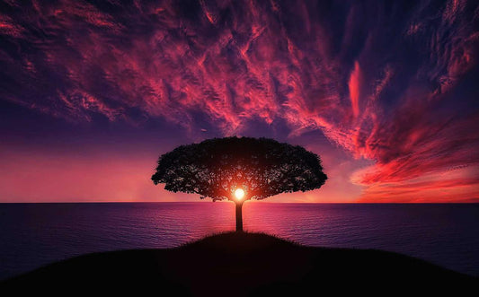 Preface: Adam, Eve and the Present Day Deception